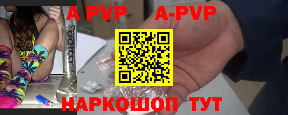 A PVP крисы CK Гатчина