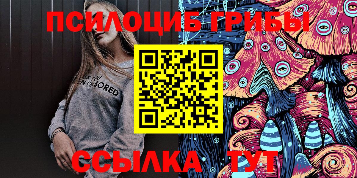 Псилоцибиновые грибы MAGIC MUSHROOMS  Псилоцибиновые грибы Psilocybine cubensis  Гатчина  купить наркотики сайты  Вход с VPN 