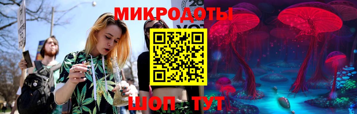 Псилоцибиновые грибы ЛСД Гатчина